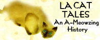 LA Cat Tales