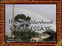 My Neighborhood Photo Essays