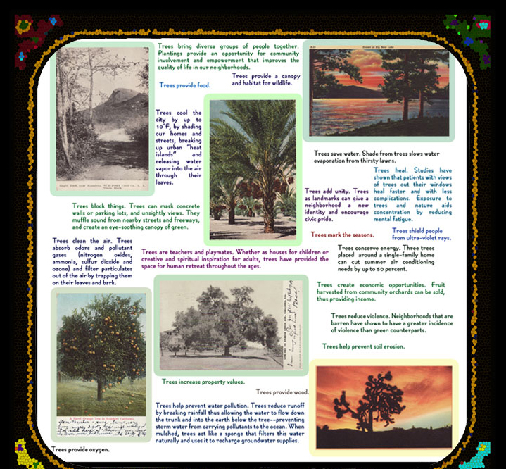 A Few of Our Favorite Trees