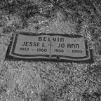 Belvin