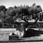 Garden of the Pines