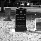 Haskins